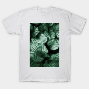 Tropical Lush Palm Leaves T-Shirt